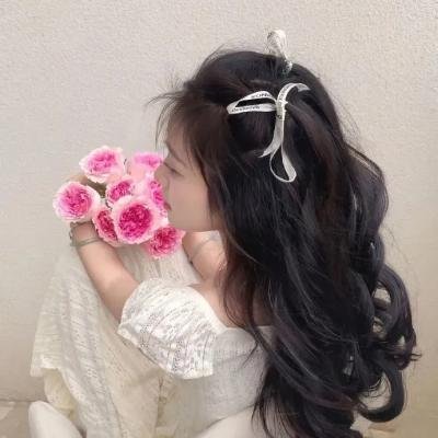 夜晚布鲁士