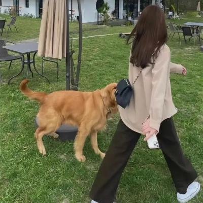 少年无求